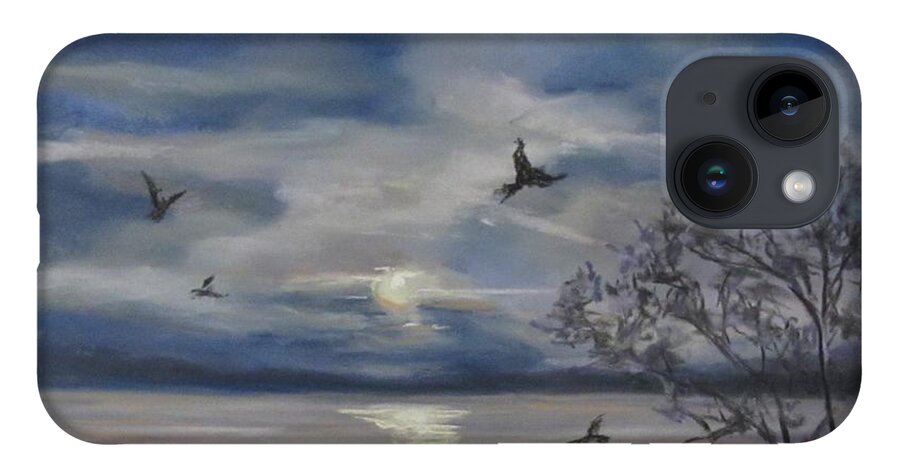 Sky iPhone 14 Case featuring the pastel Counting Crows by Barbara O'Toole