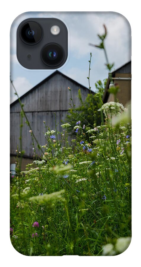 Farm iPhone Case featuring the photograph Country Life by Holden The Moment