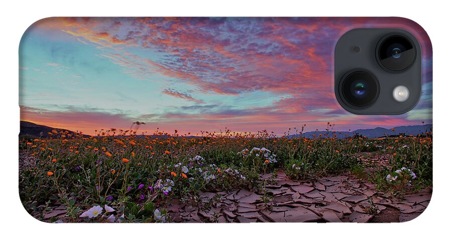 Anza Borrego State Park iPhone 14 Case featuring the photograph Crack of Dawn by Sam Antonio