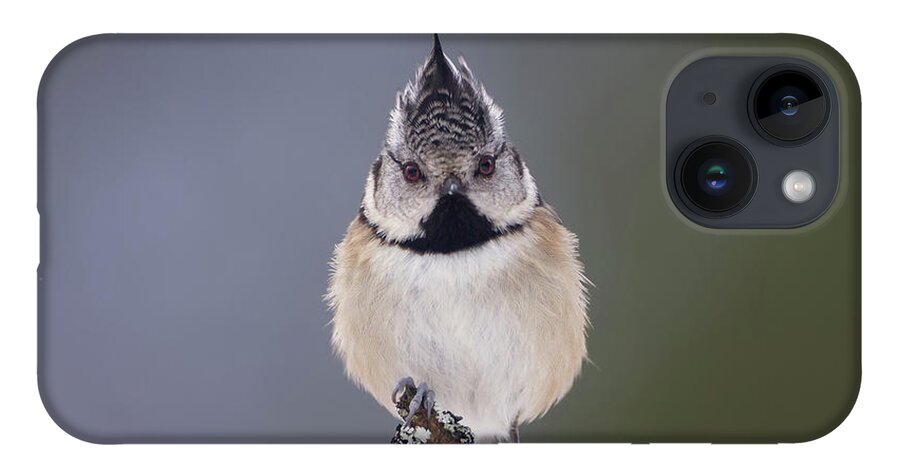 Crested iPhone 14 Case featuring the photograph Crested Tit by Pete Walkden