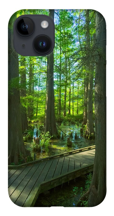 Tree iPhone 14 Case featuring the photograph Cypress Swamp by Amanda Jones