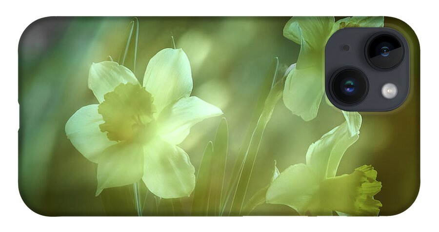 Daffodils iPhone 14 Case featuring the photograph Daffodils1 by Loni Collins