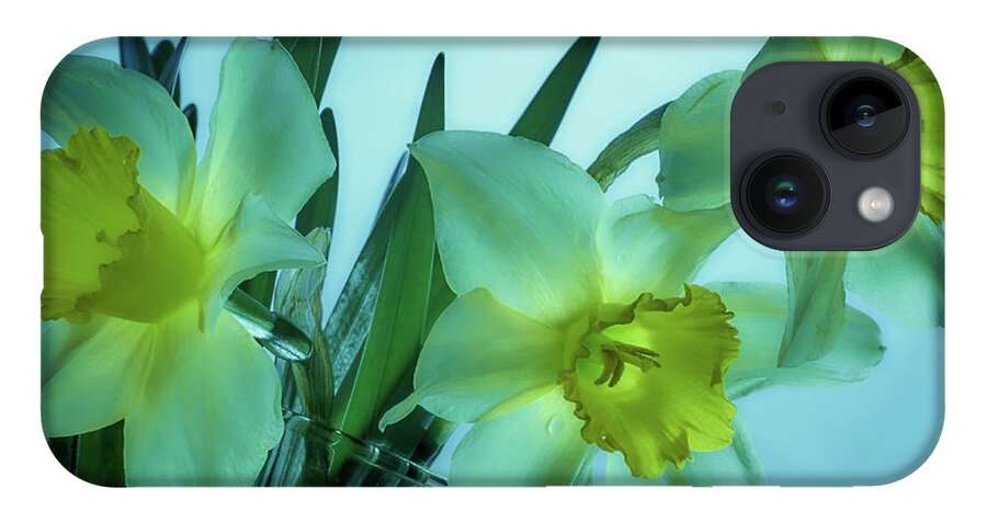 Daffodils iPhone 14 Case featuring the photograph Daffodils2 by Loni Collins