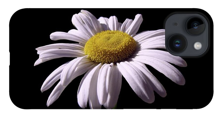 Daisy iPhone 14 Case featuring the photograph Daisy by David Dehner