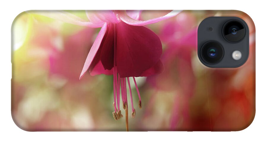 Pink Flower iPhone 14 Case featuring the photograph Dawn Petals by Mike Eingle