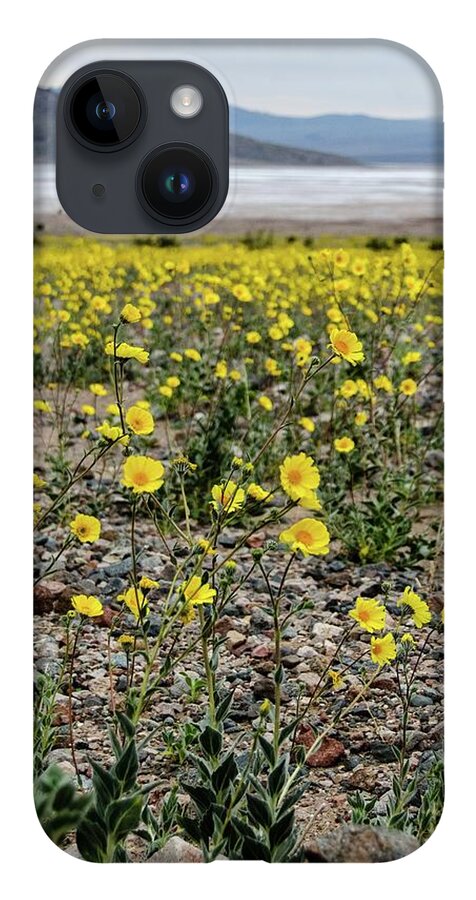 Desert iPhone 14 Case featuring the photograph Death Valley Super bloom by Gaelyn Olmsted