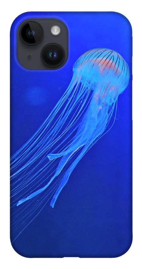 Jellyfish iPhone 14 Case featuring the photograph Deep Blue Sea Nettle by Jill Love
