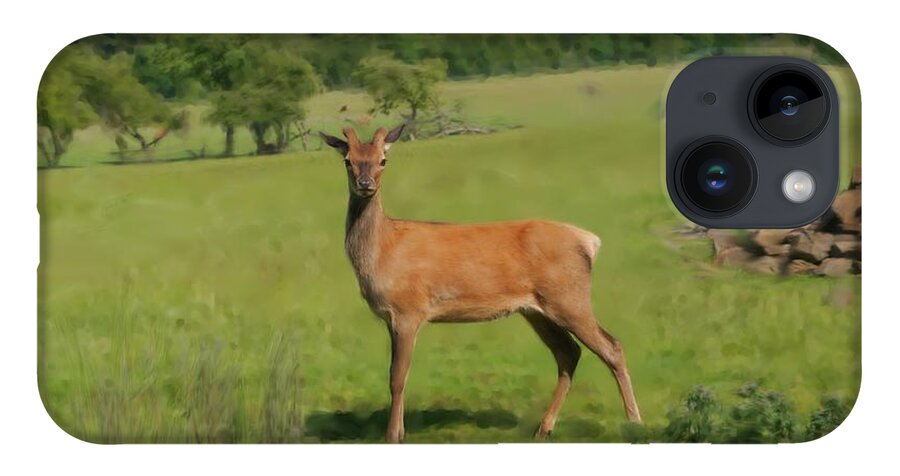 Red Deer iPhone 14 Case featuring the photograph Deer calf. by Elena Perelman