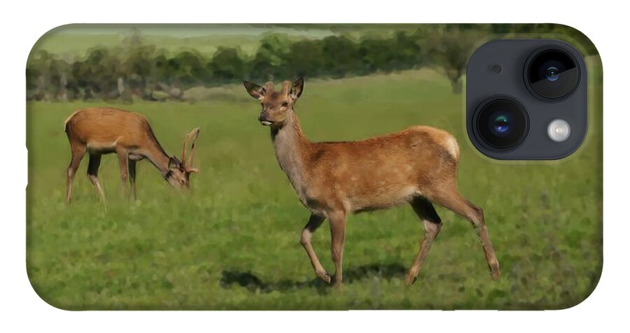 Deer iPhone 14 Case featuring the photograph Deers on a hill pasture. by Elena Perelman