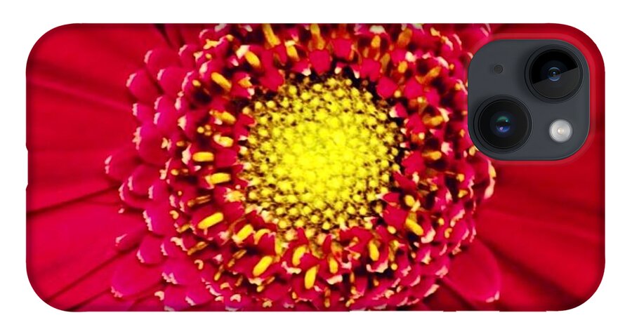 Flower iPhone 14 Case featuring the photograph Depth by Denise Railey