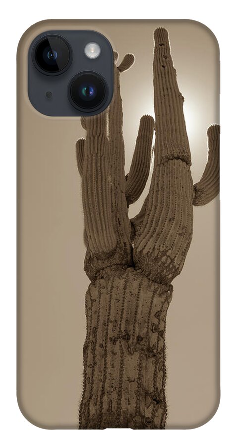 Desert iPhone 14 Case featuring the photograph Desert cactus by Darrell Foster