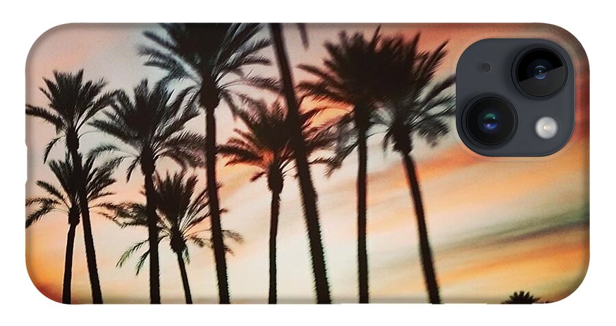 Palm Trees iPhone Case featuring the photograph Desert Palms Sunset by Vic Ritchey