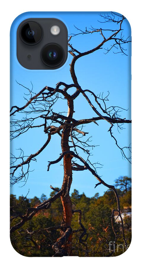 Southwest Landscape iPhone Case featuring the photograph Deserts toll by Robert WK Clark
