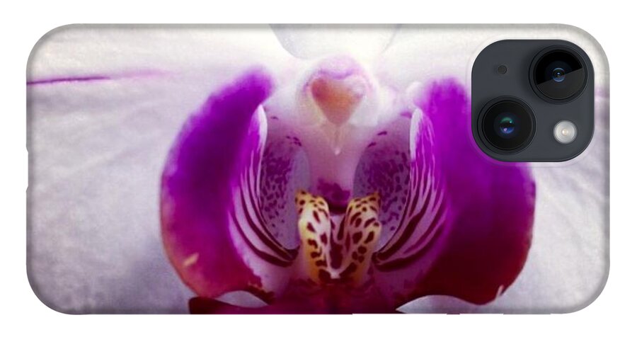 Orchid iPhone 14 Case featuring the photograph Love by Denise Railey