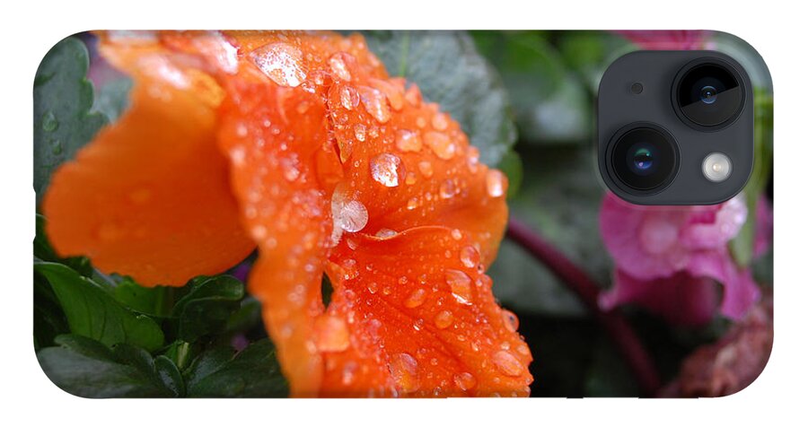Flower iPhone 14 Case featuring the photograph Dewy Pansy 2 - Side View by Amy Fose