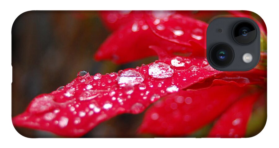 Red iPhone 14 Case featuring the photograph Dewy Petals by Amy Fose