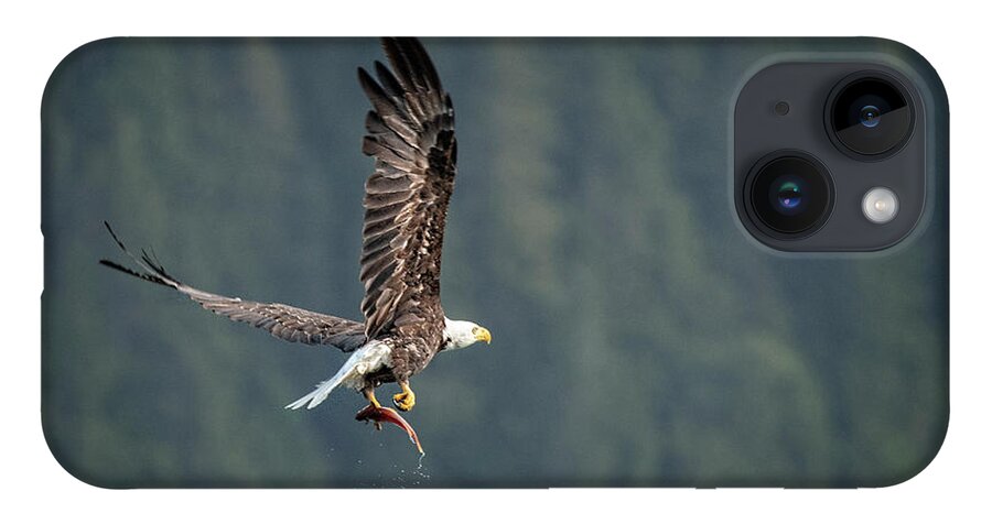 Bald Eagle iPhone 14 Case featuring the photograph Dinner is on its way by Jeanette Mahoney