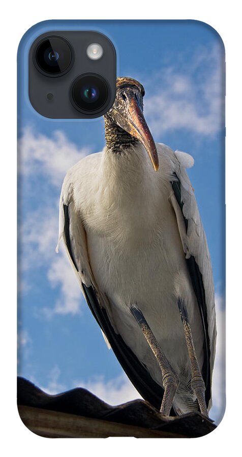 Stork iPhone Case featuring the photograph Do I Know You by Christopher Holmes