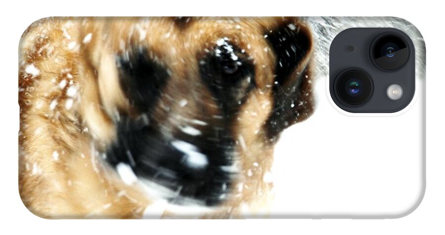 Animals iPhone 14 Case featuring the photograph Dog Blizzard - German Shepherd by Angie Tirado