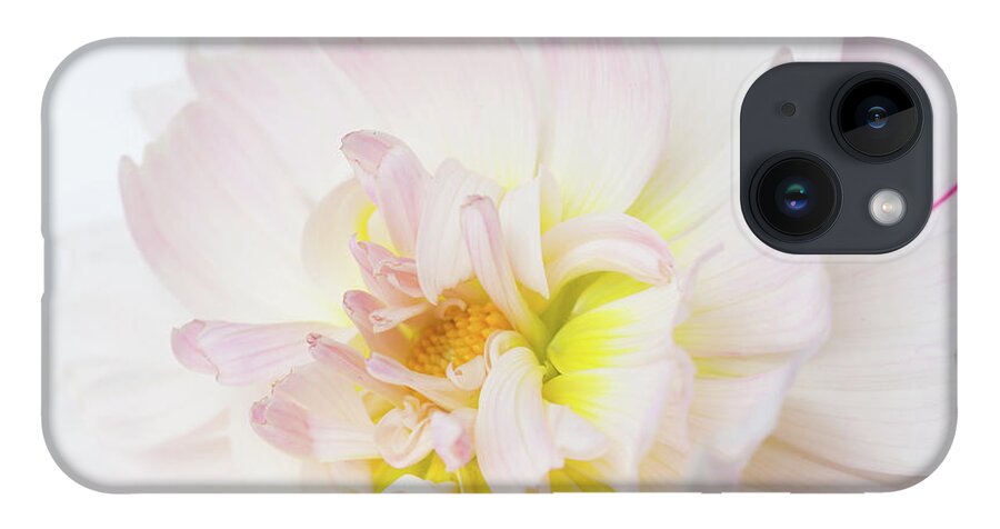 Dahlia iPhone 14 Case featuring the photograph Don't Worry Square by Mary Jo Allen