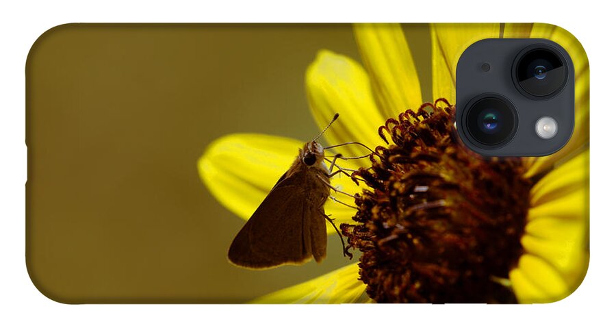James Smullins iPhone 14 Case featuring the photograph Double dotted butterfly by James Smullins