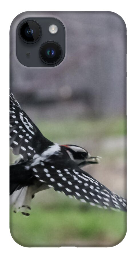 Jan iPhone 14 Case featuring the photograph Downy Woodpecker in Flight by Holden The Moment
