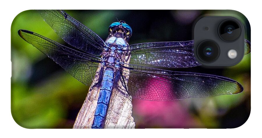 Nature iPhone Case featuring the photograph Dragonfly by DB Hayes