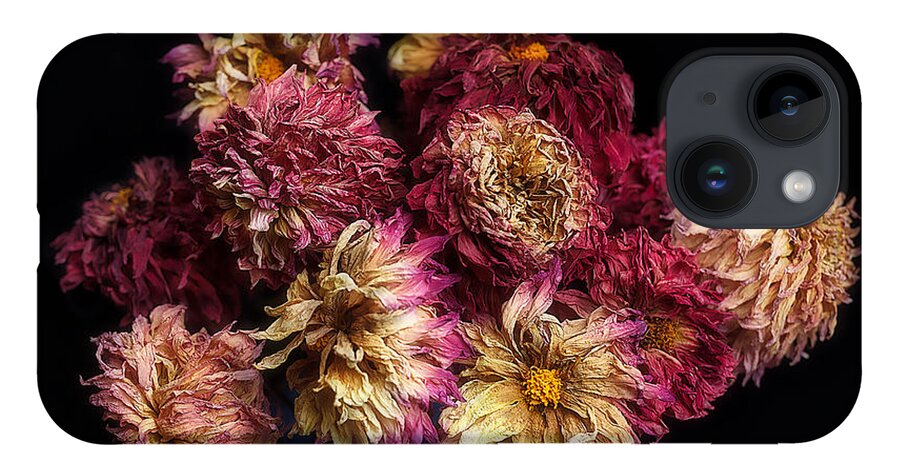 Flowers iPhone 14 Case featuring the photograph Dried Dahlias from the Garden by Ann Jacobson