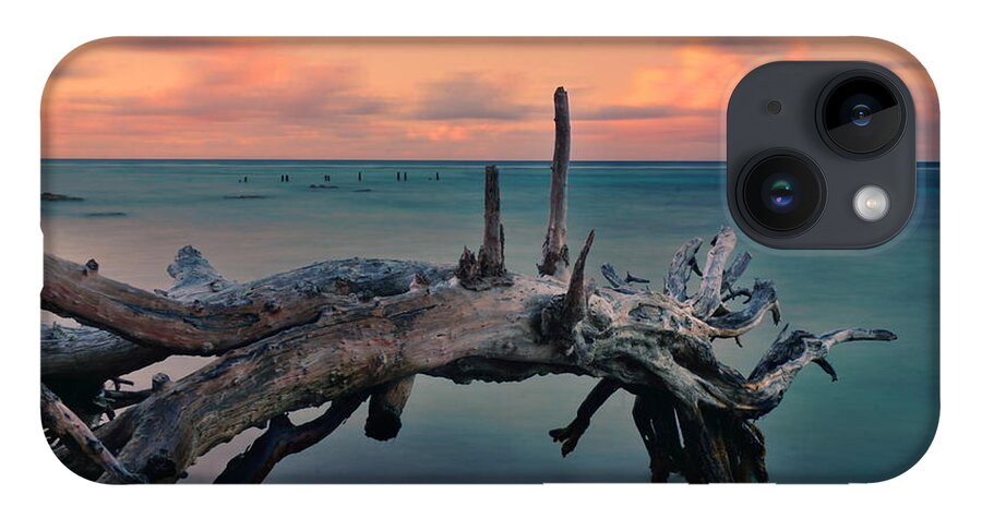 Ocean iPhone 14 Case featuring the photograph Driftwood by Amanda Jones