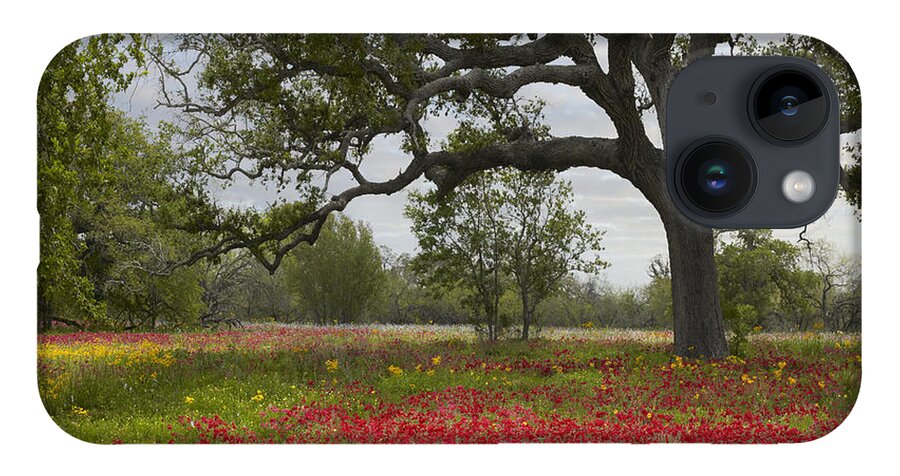 00442654 iPhone Case featuring the photograph Drummonds Phlox Meadow Near Leming Texas by Tim Fitzharris