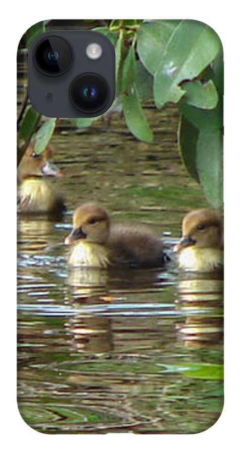 Duck iPhone 14 Case featuring the photograph Ducklings by Carl Moore