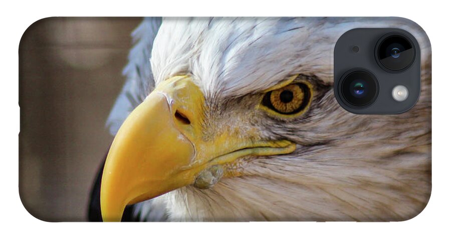 Bald Eagle iPhone 14 Case featuring the photograph Eagle Eye by Holly Ross
