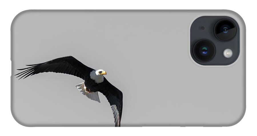Bald iPhone 14 Case featuring the photograph Bald Eagle Flight by Britt Runyon