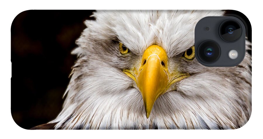 Animals iPhone 14 Case featuring the photograph Defiant and Resolute - Bald Eagle by Rikk Flohr