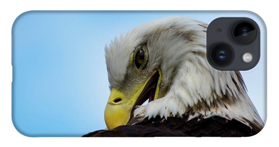 Eagle iPhone 14 Case featuring the photograph Eagle by Quinn Sedam
