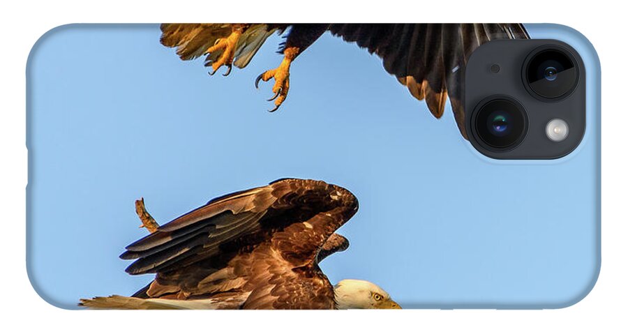 Eagle iPhone 14 Case featuring the photograph Eagles by Jerry Cahill