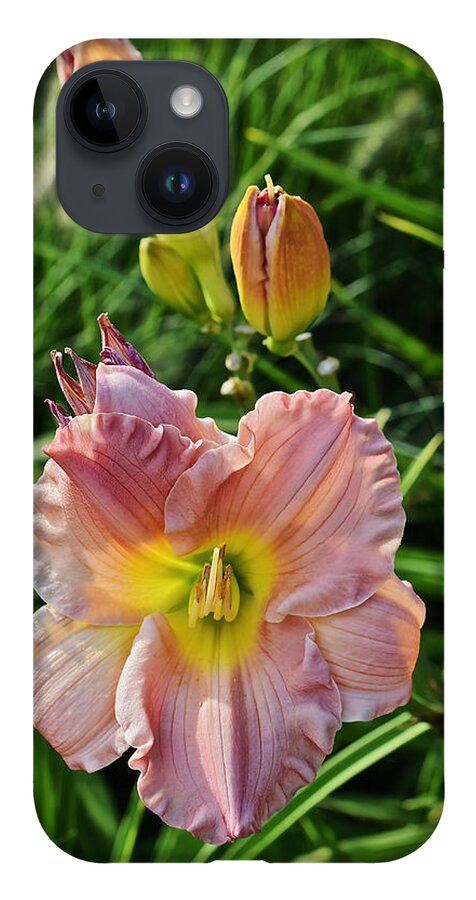 Daylily iPhone 14 Case featuring the photograph Early August Single Daylily by Janis Senungetuk