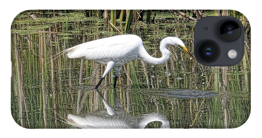 Egret iPhone 14 Case featuring the photograph Egret by David Armstrong