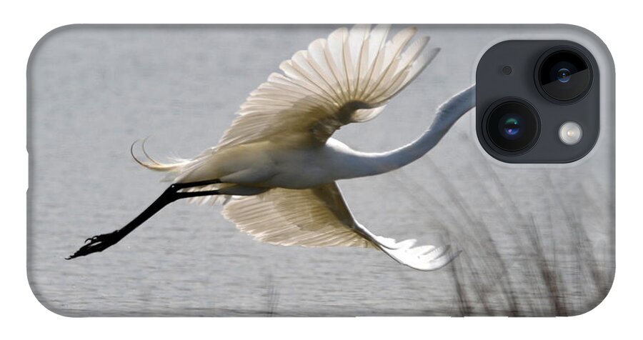  iPhone 14 Case featuring the photograph Egret in Flight by Ann Bridges