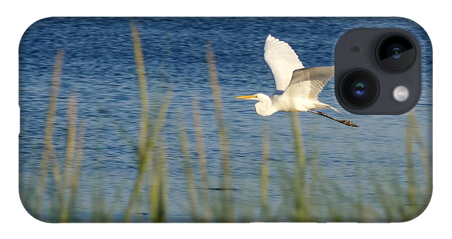 Richard Reeve iPhone Case featuring the photograph Egret in Flight by Richard Reeve