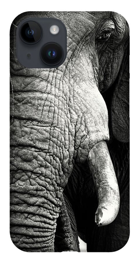 Elephant iPhone 14 Case featuring the photograph Elephant close-up portrait by Johan Swanepoel