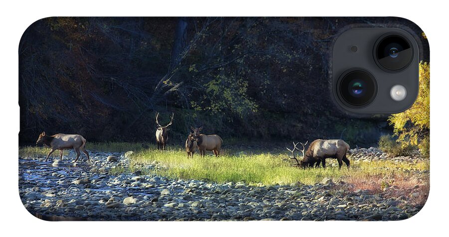 Buffalo National River iPhone 14 Case featuring the photograph Elk River Crossing at Sunrise by Michael Dougherty