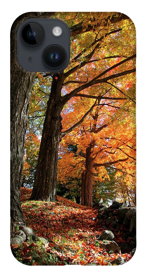 Photography iPhone 14 Case featuring the photograph Emery Farm Trees Fall Foliage by Brett Pelletier