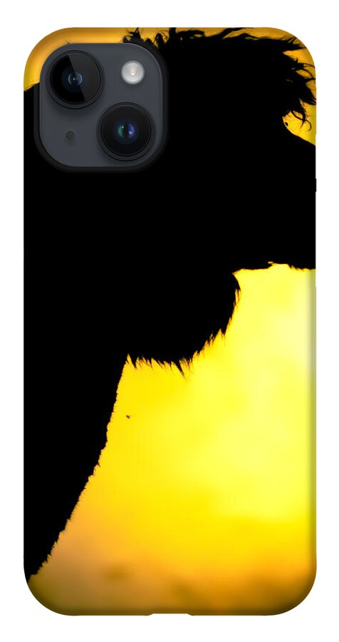 Alpaca iPhone 14 Case featuring the photograph Endless Alpaca by TC Morgan
