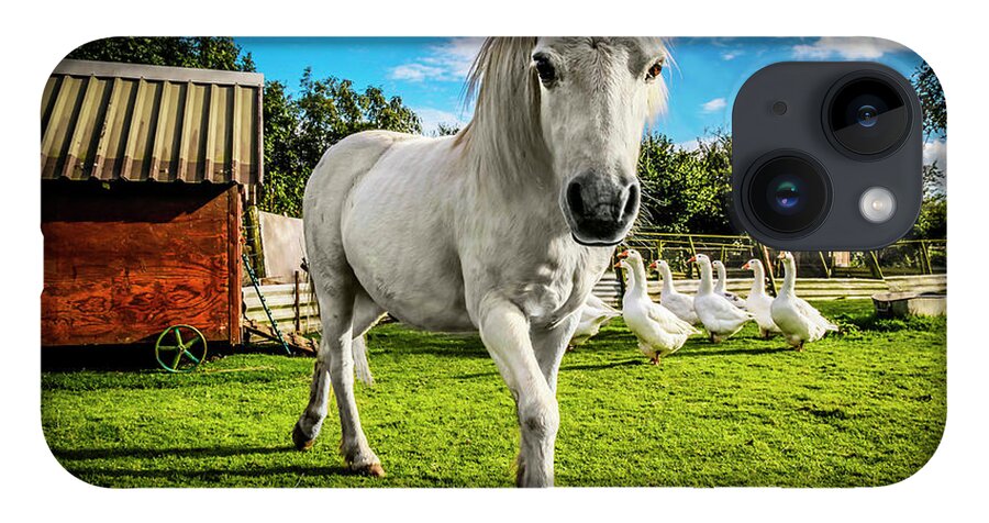 Horse White Pony Gypsy Camp Trailer Wagon Geese Grass Blue Sky Rural England Colorful iPhone 14 Case featuring the photograph English Gypsy Horse by Jennifer Wright