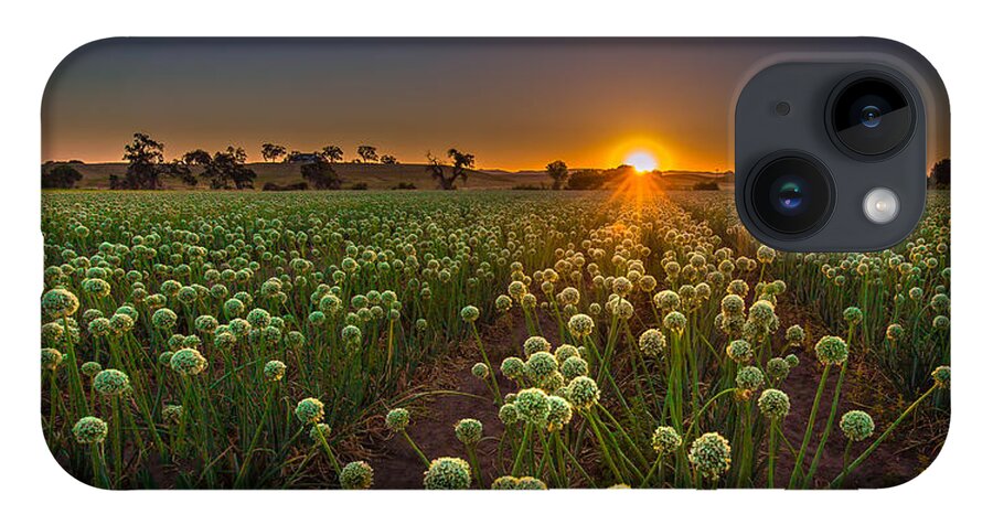 Sunrise iPhone 14 Case featuring the photograph Enlightenment by Tim Bryan