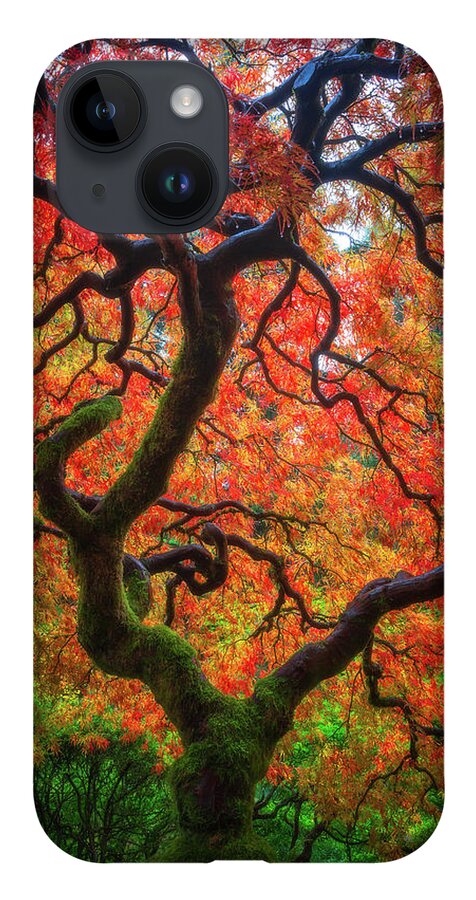 Trees iPhone 14 Case featuring the photograph Ethereal Tree Alive by Darren White