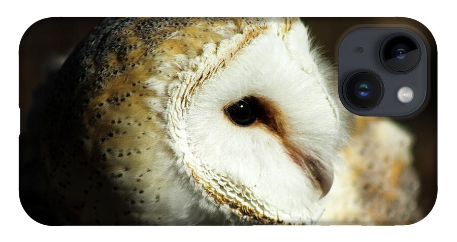 Owl iPhone 14 Case featuring the photograph European Barn Owl by Holly Ross