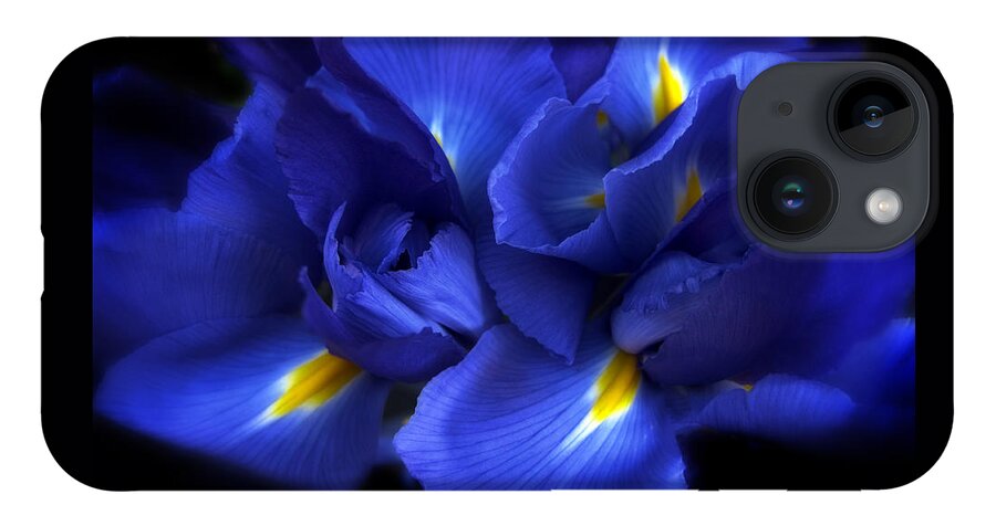 Iris iPhone 14 Case featuring the photograph Evening Iris by Jessica Jenney