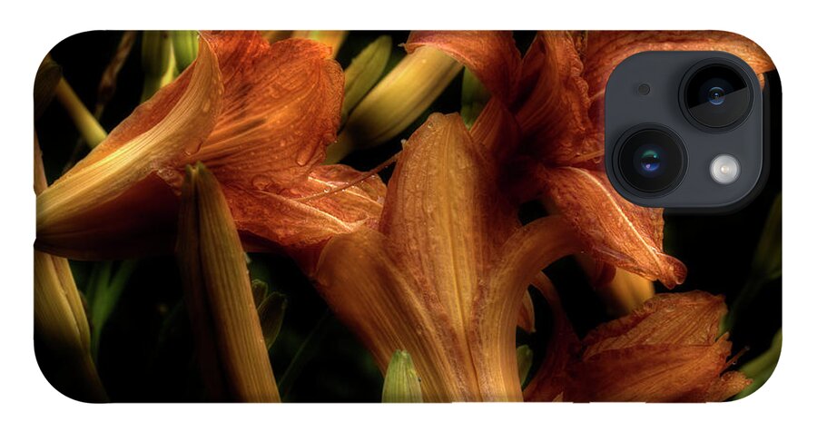 Lilies iPhone 14 Case featuring the photograph Evening Lilies by Mike Eingle